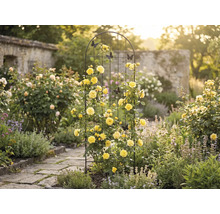 Scène de jardin avec une arche à roses, des roses jaunes et des papillons décoratifs