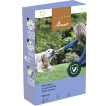 Semences de gazon Samen Mauser Robusta pour environ 50 mètres carrés avec image d une femme et d un chien sur une pelouse.