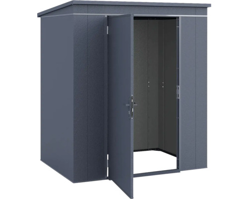 Abri de jardin en métal avec toit en pente et une porte ouverte, anthracite.