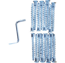 Set aus 16 Möbelschrauben und einem passenden Innensechskantschlüssel aus Metall.