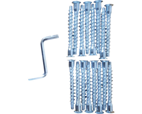 Set aus 16 Möbelschrauben und einem passenden Innensechskantschlüssel aus Metall.
