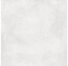 Carreau de sol clair et rectangulaire