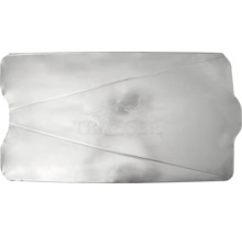 Logo Traeger sur un couvercle