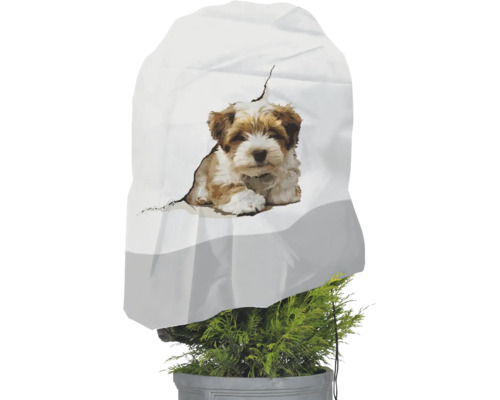 Housse d'hivernage pour plantes en non-tissé avec motif chiot sur une plante en pot.