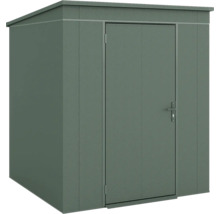 Abri de jardin en métal avec toit en pente et porte simple.