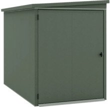 Abri de jardin vert en métal avec toit en pente et porte simple.