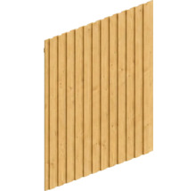 Panneau de clôture en bois avec lattes verticales et veinage apparent.