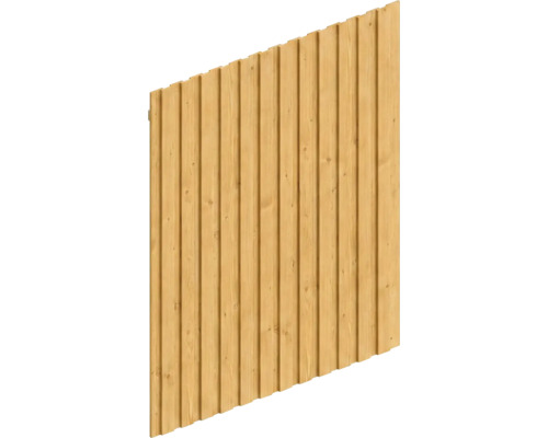 Panneau de clôture en bois avec lattes verticales et veinage apparent.