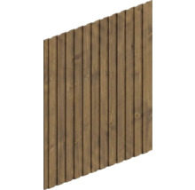 Panneau de clôture en bois avec lattes verticales et bord supérieur incliné.