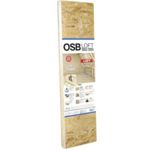 Panneau OSB, épaisseur 18 mm pour l'aménagement intérieur