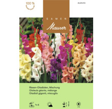 Samentüte Mauser Riesen-Gladiolen Mischung mit Abbildung verschiedener Gladiolenblüten, Mauser Logo, Qualitätssiegel und Pflanzsymbolen.