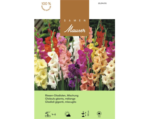 Samentüte Mauser Riesen-Gladiolen Mischung mit Abbildung verschiedener Gladiolenblüten, Mauser Logo, Qualitätssiegel und Pflanzsymbolen.