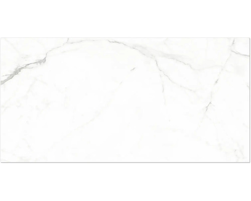 Wandfliese oder Bodenfliese in Marmoroptik mit grauer Maserung