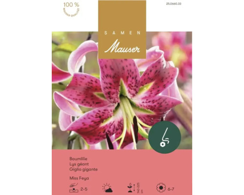 Samen Mauser Baumlilie Miss Feya Packung mit Nahaufnahme der rosa gepunkteten Blüte.