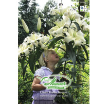 Baumlilie Lilium Pretty Woman mit weissen Blüten neben einem Kind im Garten, Wuchshöhe bis zu 200 Zentimeter, Samen Mauser Logo.