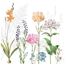 Botanische Illustration von Wildblumen mit Nelken, Vergissmeinnicht und Farnen.