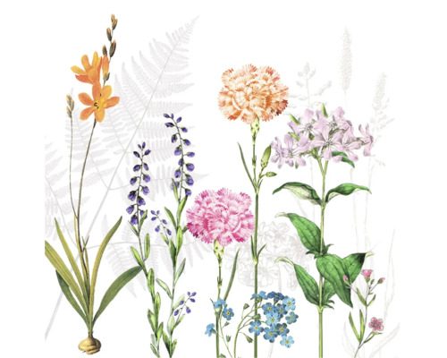 Botanische Illustration von Wildblumen mit Nelken, Vergissmeinnicht und Farnen.