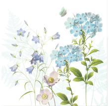 Botanische Illustration mit Glockenblumen, Phlox, Anemonen und Schmetterling.