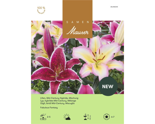 Samen Mauser Logo. Lilien Mid-Century-Hybride Mischung Fabulous Fantasy. Sonnig bis halbschattig, Höhe 130 Zentimeter, Blüte Juni bis Juli.