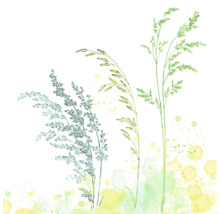 Aquarell-Illustration von hohen Gräsern mit feinen Linien und künstlerischen Farbspritzern.