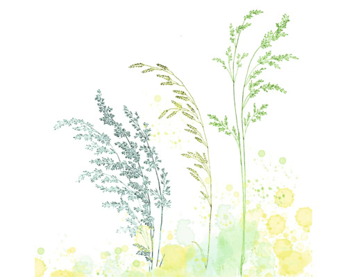 Aquarell-Illustration von hohen Gräsern mit feinen Linien und künstlerischen Farbspritzern.