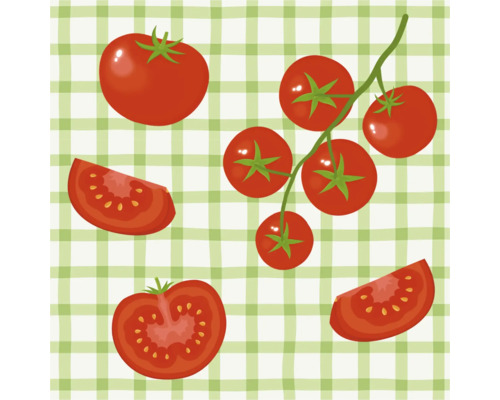 Illustration de tomates entières, coupées en deux, en tranches et de tomates en grappe.