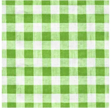 Motif à carreaux verts et blancs d'une nappe.