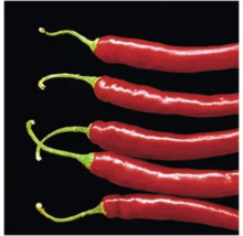 Cinq piments rouges allongés avec des tiges vertes.