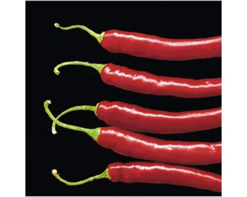 Cinq piments rouges allongés avec des tiges vertes.