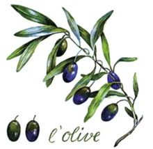 Illustration d'une branche d'olivier avec des olives et l'inscription l'olive