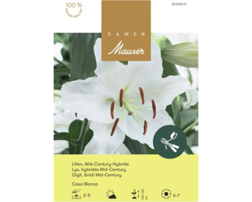 Samen Mauser Logo, Lilien Mid-Century-Hybride Casa Blanca, weiße Blüte, als Schnittblume geeignet, Wuchshöhe 100 bis 130 Zentimeter.