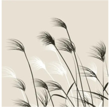 Illustration minimaliste de hautes herbes et de roseaux soufflant dans le vent pour décoration murale ou papier peint.