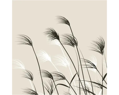 Illustration minimaliste de hautes herbes et de roseaux soufflant dans le vent pour décoration murale ou papier peint.