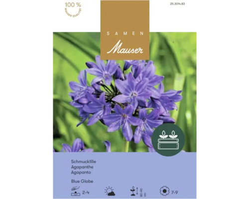 Sachet de graines Samen Mauser pour Agapanthe Blue Globe aux fleurs violettes, adapté aux jardinières, hauteur de 80 à 90 centimètres.