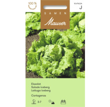 Samen Mauser Eissalat Cartagenas Samentüte mit Abbildung eines wachsenden grünen Eissalats in der Erde.