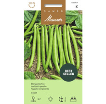 Semences Mauser Haricot à perche Isabell, sachet de graines avec image de haricots verts sur terre, Mauser Logo, sceau de qualité et best-seller.