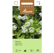 Samen Mauser Bärlauch Saatgut, blühende Pflanzen, Aussaat August bis Oktober, Wuchshöhe 25 Zentimeter, Samen Mauser Logo.