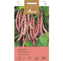 Samen Mauser Stangenbohne Borlotto Stregonta. Abbildung von Bohnenschoten. Aussaat Mai bis Juni, sonnig, 300 Zentimeter Wuchshöhe. Samen Mauser Logo.
