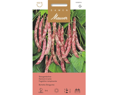 Samen Mauser Stangenbohne Borlotto Stregonta. Abbildung von Bohnenschoten. Aussaat Mai bis Juni, sonnig, 300 Zentimeter Wuchshöhe. Samen Mauser Logo.