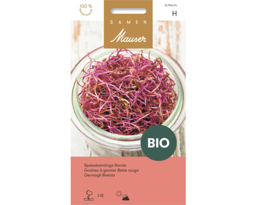 Graines à germer de bette rouge Bio Mauser, emballage de graines avec illustration de germes dans un bocal en verre.
