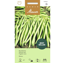 Mauser Logo. Samentüte Buschbohne Elmoro mit grünen Bohnen. Bestseller. Symbole: Aussaat Mai bis Juli, sonnig bis halbschattig, Höhe 40 Zentimeter.
