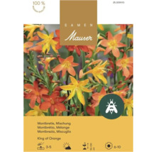 Semences Mauser Montbrétia mélange King of Orange, bulbes pour fleurs orange et jaunes, favorable aux abeilles.
