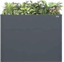 Carré potager surélevé Weka en métal anthracite, planté de diverses plantes vertes et de fleurs roses.