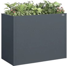 Carré potager surélevé en métal anthracite, garni de diverses plantes vertes et de fleurs, Weka Logo.