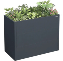Bac à fleurs surélevé en métal anthracite, garni de diverses plantes vertes et fleurs, Weka Logo.