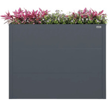 Carré potager surélevé Weka en panneaux métalliques anthracite, rectangulaire, avec des plantes ornementales. Weka Logo.