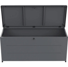 Coffre de jardin en métal gris foncé avec couvercle ouvert, ressorts à gaz et serrure.