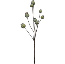 Künstlicher Dekozweig mit grünen Mohnkapseln an braunen Stielen.