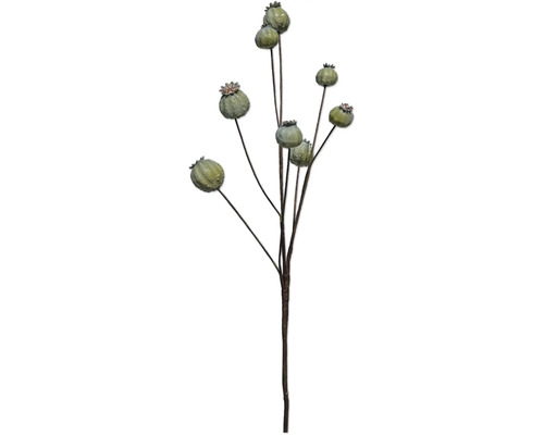 Künstlicher Dekozweig mit grünen Mohnkapseln an braunen Stielen.