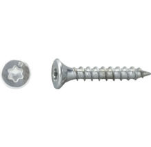 Vis à tête fraisée avec empreinte Torx en métal.